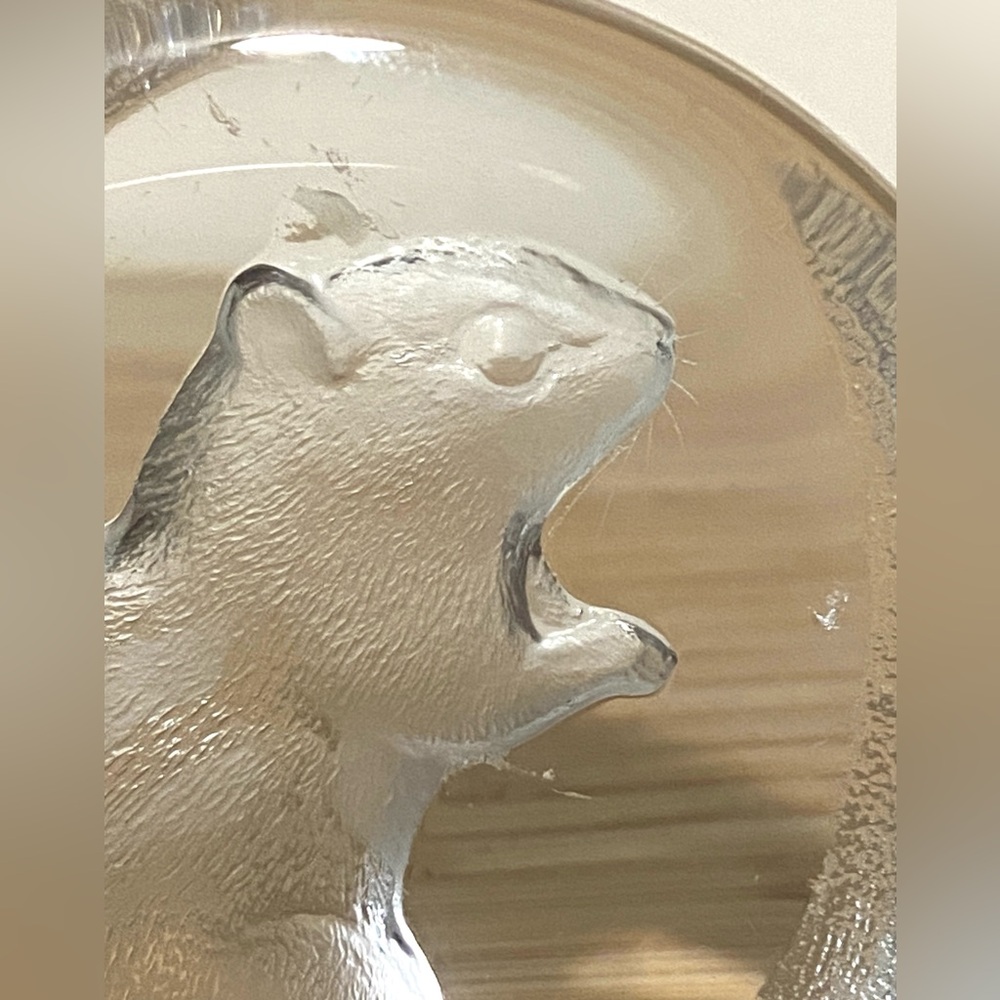 Mats  Jonasson Swedish Crystal Chipmunk Paperweight - Picture 4 of 8
